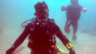 Diving BushrangersBay, Sydney 13-12-2020 (2.7k HD)