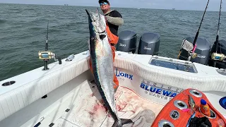 110lb ‘Hoo ||| Fish of a LIFETIME on Tournament day (Catch, Clean, & Cook)