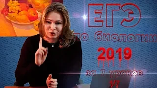 ЕГЭ биология 2019 за 7 уроков. 1/7 (уровни организации жизни, признаки живого, биологические науки)