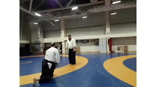 Aikido, Irimi Nage.  встречный вход. Марьенков А. В., 6 Дан Айкидо Айкикай