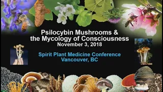 Wow! Paul Stamets talks about Psilocybin Mushrooms & the Mycology of Consciousness