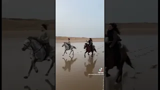 Horses galloping on the beach! ❤️🐴