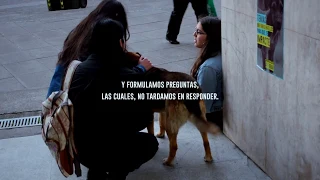 Acción BTL contra el maltrato animal - Publicidad Duoc Uc (Agencia Zuma)