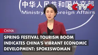 Spring Festival Tourism Boom Indicates China's Vibrant Economic Development: Spokeswoman