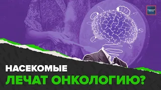 Личинки против рака? Мошенники наживаются на горе | Специальный репортаж