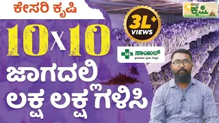 ಕಾಶ್ಮೀರಿ ಕೇಸರಿ ಬೇಸಾಯ | Kashmiri Kesar|Saffron Farming Kannada | Vistara Krishi | Belagavi