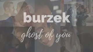 Burgess and Ruzek - Ghost of you