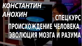 ACADEMIA. Константин Анохин. Спецкурс происхождение человека. Эволюция мозга и разума.