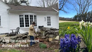 A tip for staying focus during yard work and finding a possible petroglyph on Sugarwood's property