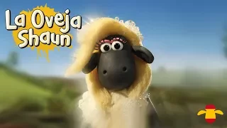 Enamorado - La Oveja Shaun