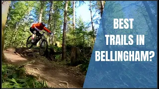 Riding Bellingham's most popular Mountain Biking Trails (sort of)