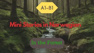 Mini Stories in Easy Norwegian: In the Forest | Norwegian Listening Practice