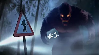 Первый взгляд на YELLOWSTONE PARK | Ищем баги  - BIGFOOT !!!