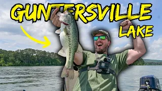 INSANE TACTICS For Summer Time BASS FISHING | GUNTERSVILLE LAKE