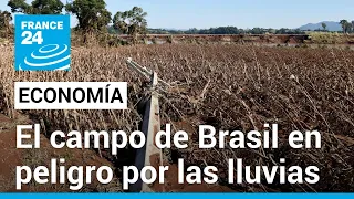 La producción agrícola de Brasil en peligro por las mortales inundaciones de Río Grande do Sul