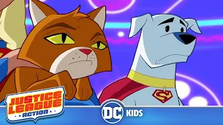 Justice League Action | Super Cats & Dogs | @dckids