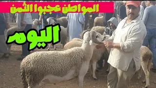 سولت الناس خارج سوق خميس تاوجطات اليوم بشحال شراو حولي عيد الأضحى وحولية وجدي حولي البركي 30/5/2024