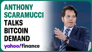 Anthony Scarmucci on bitcoin: 'Demand should push the price up'