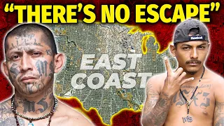 How MS-13 plans to take over the East Coast