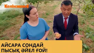 Айсара сондай пысық әйел ғой! / КЕЛІНЖАН 4