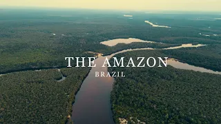 𝗧𝗛𝗘 𝗔𝗠𝗔𝗭𝗢𝗡 𝗥𝗔𝗜𝗡𝗙𝗢𝗥𝗘𝗦𝗧 🌴| CINEMATIC CLIP 4K 🎥 | AMAZON TOURS BRAZIL🇧🇷