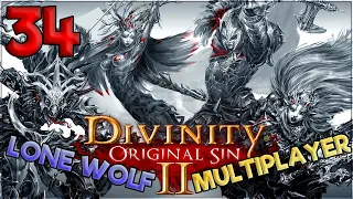 Aavak Streams Divinity Original Sin 2 Multiplayer – Part 34