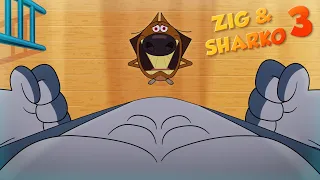 Zig & Sharko 💥 TINY ZIG (SEASON 3) Cartoon for kids