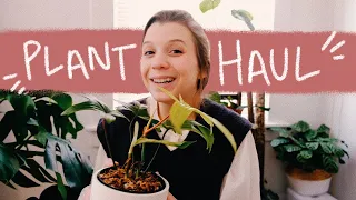 adding more plants to my collection ✨ | collective houseplant haul