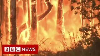 Australia bushfires: 'It's like fireballs exploding in the air' - BBC News