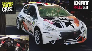 DiRT Rally 2.0 / Peugeot 208 R5/Logitech G920 mod by Chopito Rally Crash