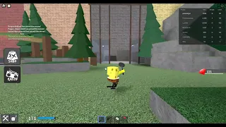 USING THE BAN HAMMER ONLY IN ROBLOX KAT.