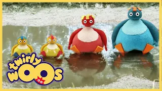 Twirlywoos Türkçe | üzerinde | Sezon 1 Bölüm 11 | Çocuklar İçin Çizgi Filmler