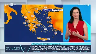 Καιρός: Με ζέστη και υψηλές θερμοκρασίες θα ψηφίσουμε την Κυριακή των εκλογών | 7/6/2024 | ΕΡΤ