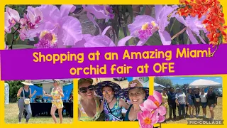 Shopping for orchids at local Miami plant fair! At OFEs