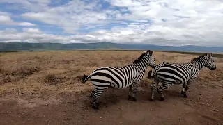 Meine erste Afrikareise mit Kilimanjaro Besteigung