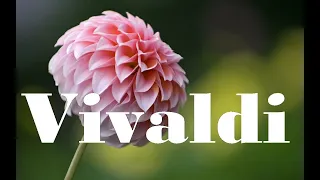Vivaldi 4 Seasons and Nature Sounds