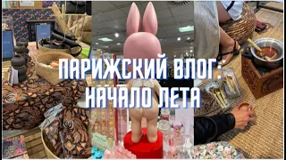 ПАРИЖСКИЙ VLOG: магазин BHV, книга "Аббатство Даунтон", сладости из "Гарри Поттера", набережные Сены