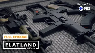 Gun Ownership | Flatland