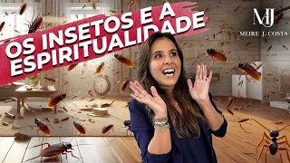 Os Insetos e a Espiritualidade Meire J Costa