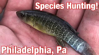 Fishing & Exploring John Heinz Wildlife Refuge!! Philadelphia, Pa (Invasive Species Encounter)