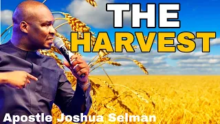 THE HARVEST (FULL SERMON) – APOSTLE JOSHUA SELMAN