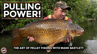 MARK BARTLETT CATCHES 42LB+ UK COMMON CARP! PULLING POWER – THE ART OF PELLET FISHING | DNA BAITS