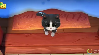 Kitten Match. Opening video