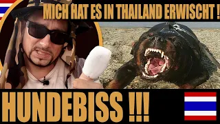 Es ist passiert! Hundebiss & Tollwut Krankenhaus Thailand