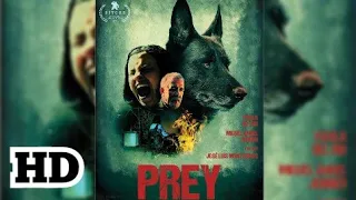 Prey 2020 || new hollywood horror/thriller movie in hindi || full movie HD