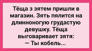 Теща с Зятем в Магазине! Сборник Свежих Смешных Жизненных Анекдотов!