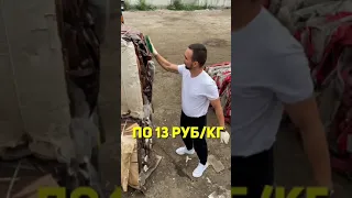 Зарабатываю на мусоре. 9 тыс на старых бутылях из под пива