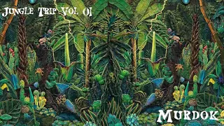 Jungle Trip Vol 01 (Progressive Psytrance Mix)