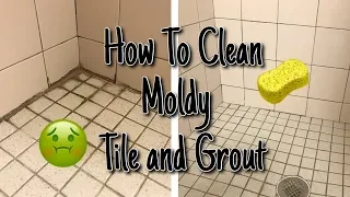 HOW TO CLEAN MOLD FROM SHOWER TILE AND GROUT // Super Satisfying Clean With Me