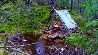 Found a shelter at Norway forest!